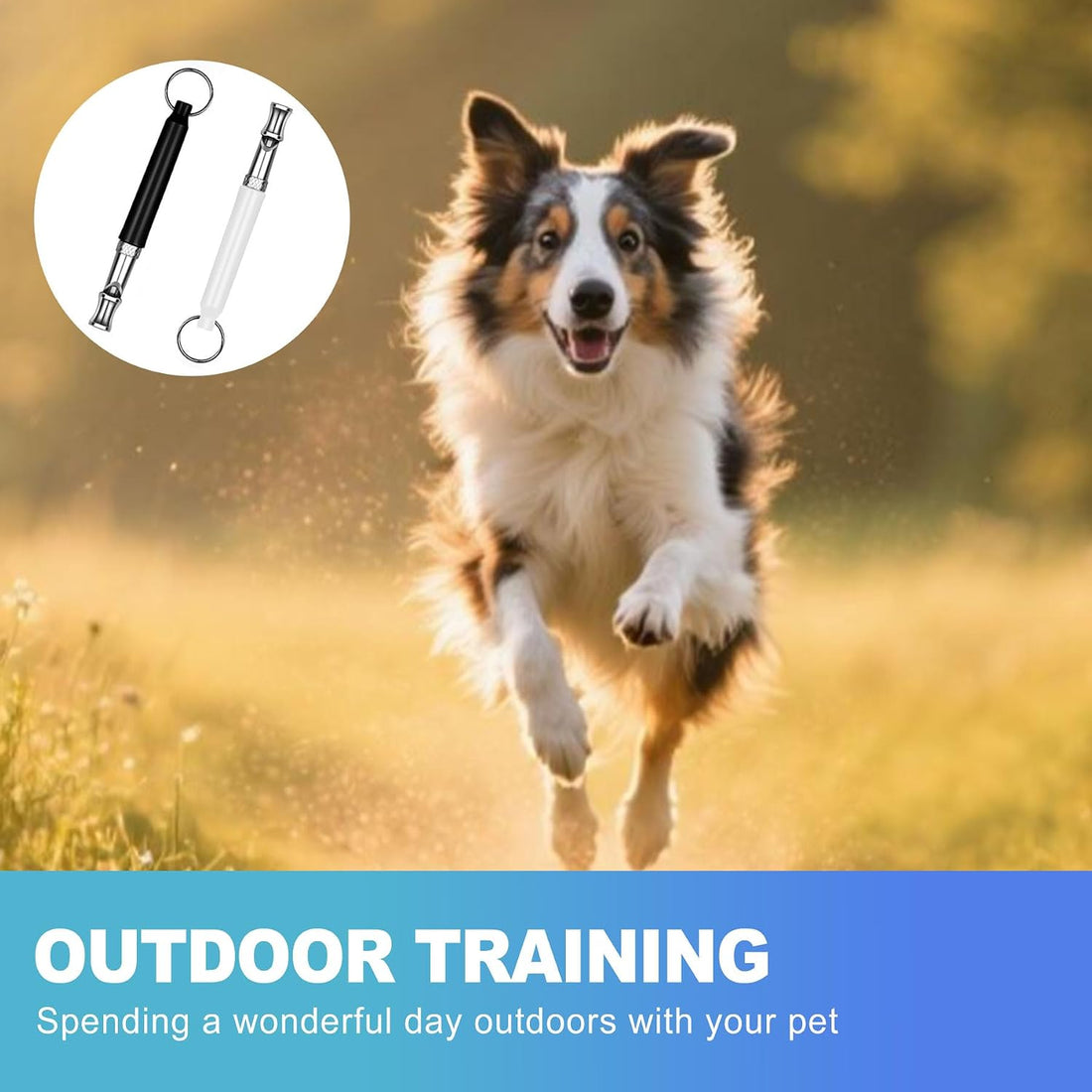 CoguZed 2 Pack Ultrasonic Dog Whistles with Lanyards