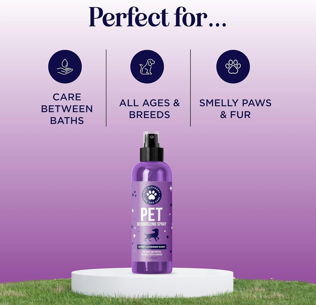 Lavender Oil Dog Deodorizing Spray
