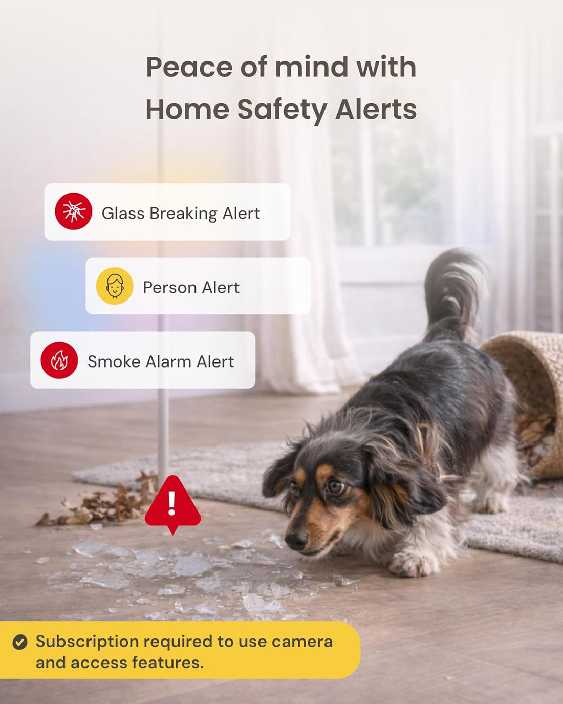 Furbo 360° Dog Camera Unlock w/Paid Plan