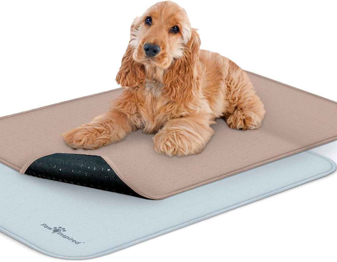 Paw Inspired Washable Crate Liners for Dogs, 35x22 Inch, 2 Pack