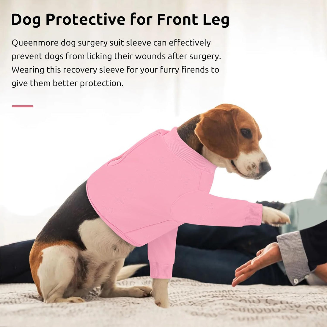 Queenmore Recovery Sleeve for Dogs Front Leg