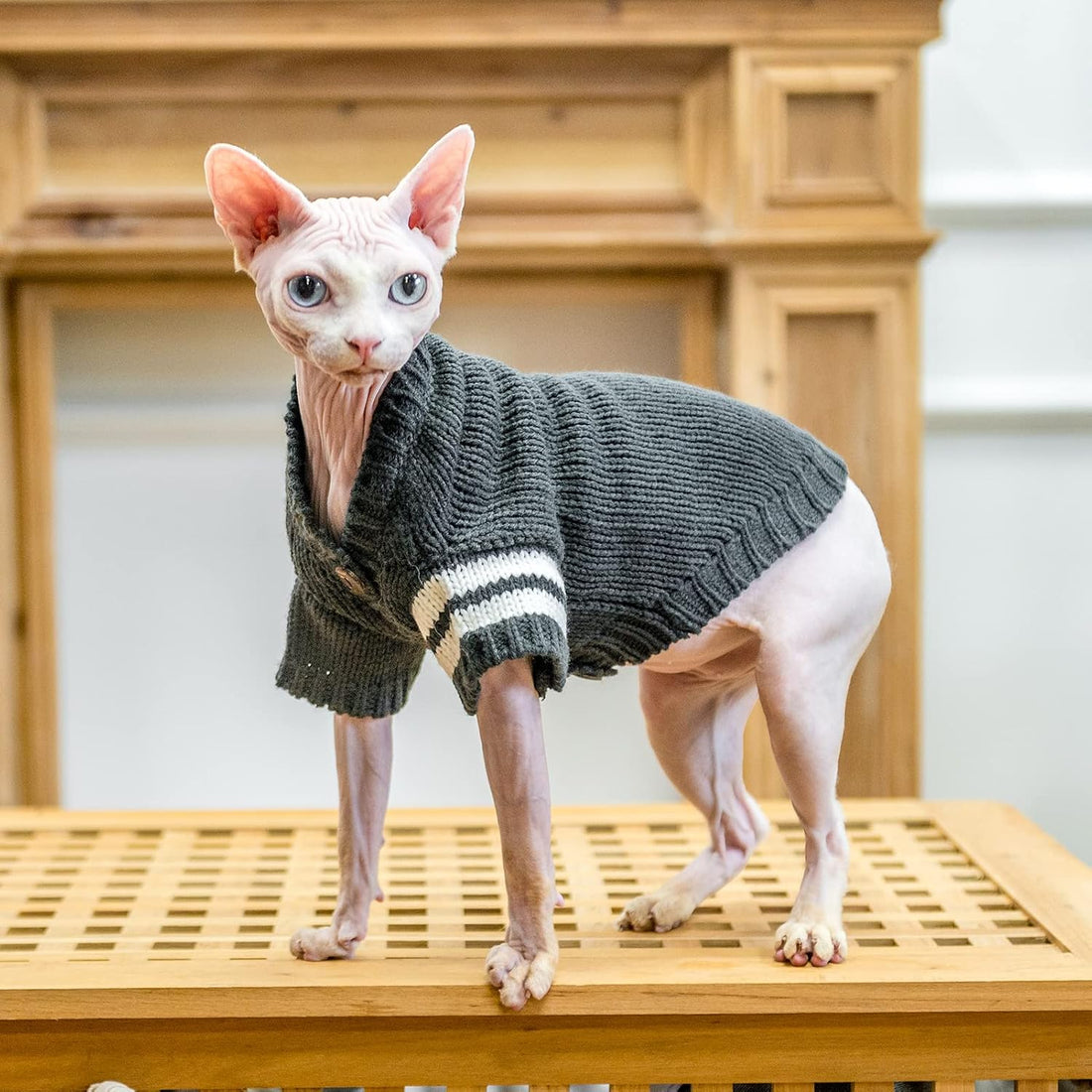 EXPAWLORER Knit Cat Sweater - Soft Warm Cat Clothes Cardigan, Grey S