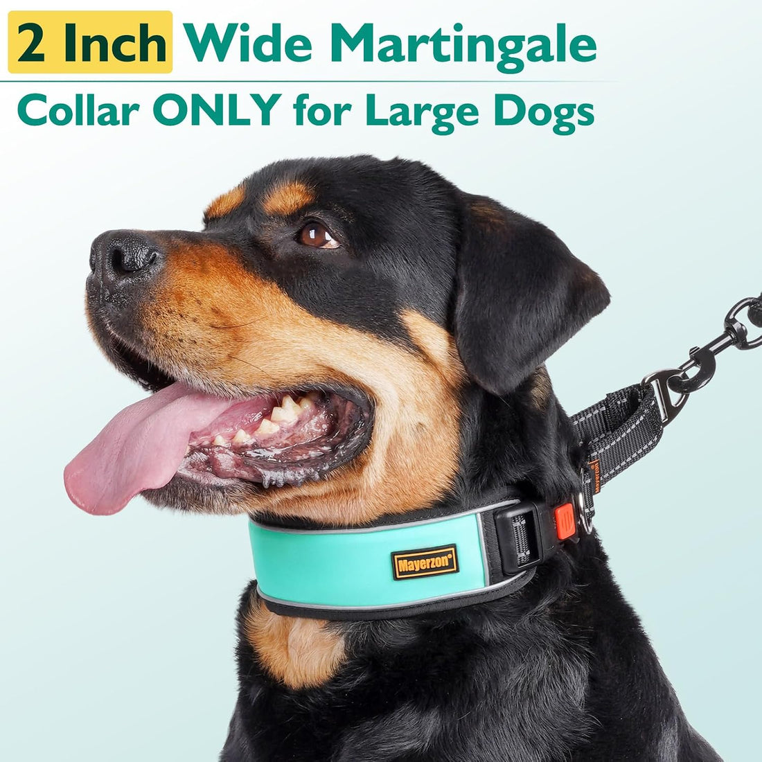 Mayerzon 2" Wide Martingale Collar for Large Dogs No Pull Dog Collar