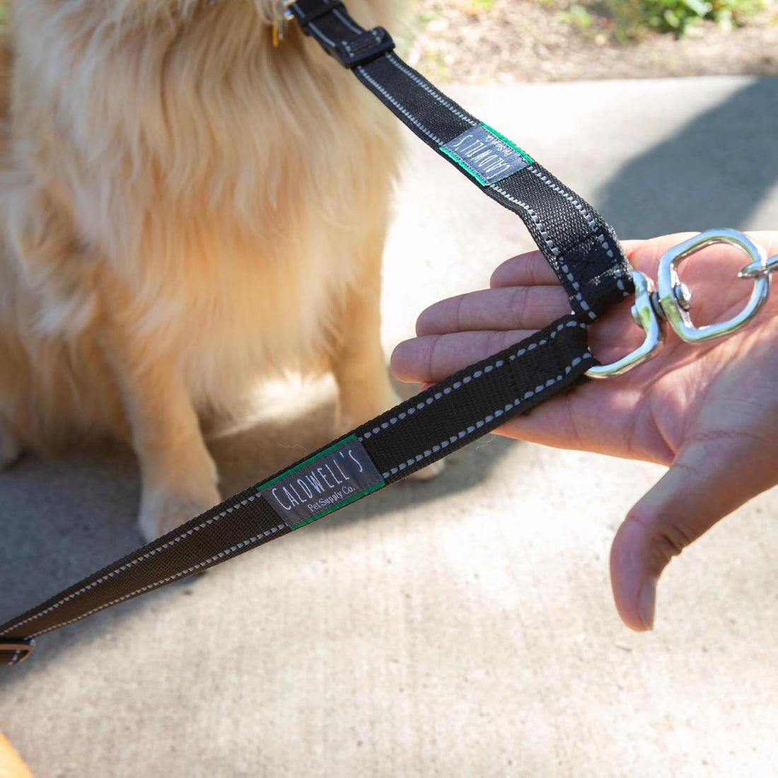 Caldwell's Pet Supply Co. Leash Coupler