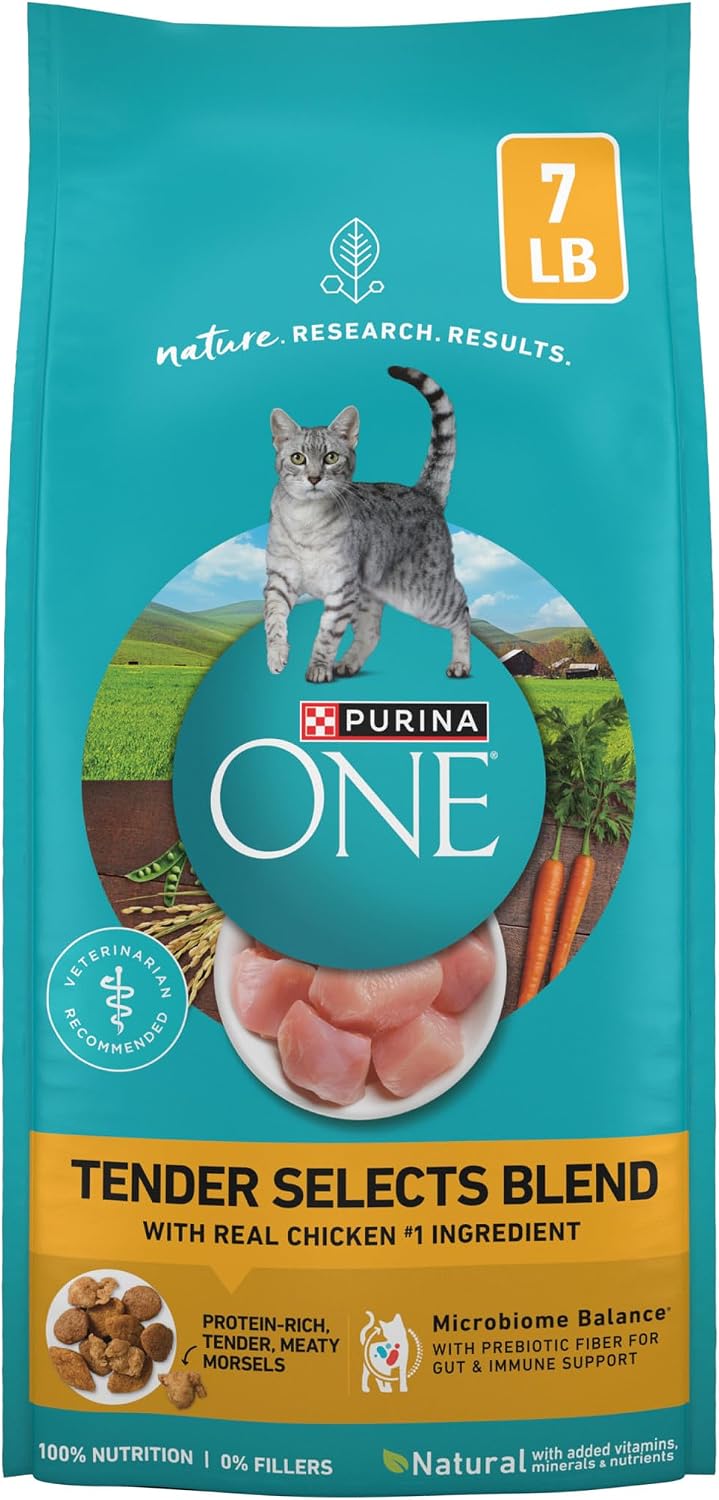Purina ONE Natural Dry Cat Food