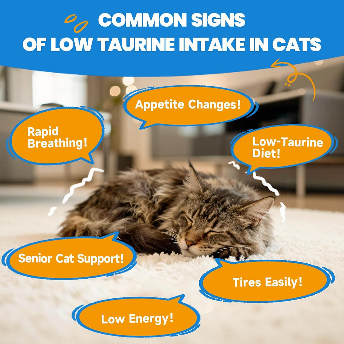 Taurine Drops for Cats, 200 mg per Serving, Roast Chicken Flavor