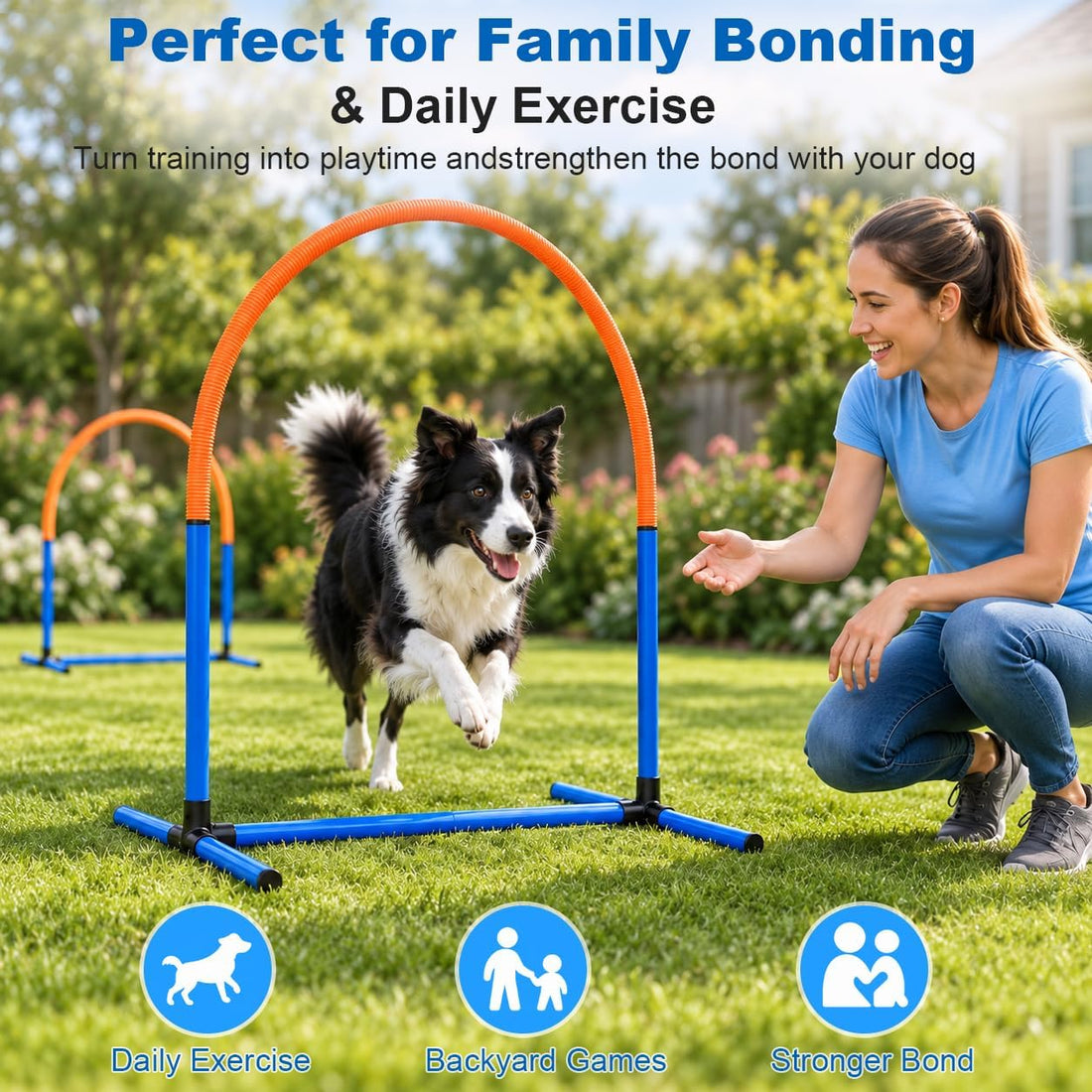 Dog Agility Arch Tunnel Set with Hoops & Ground Stakes