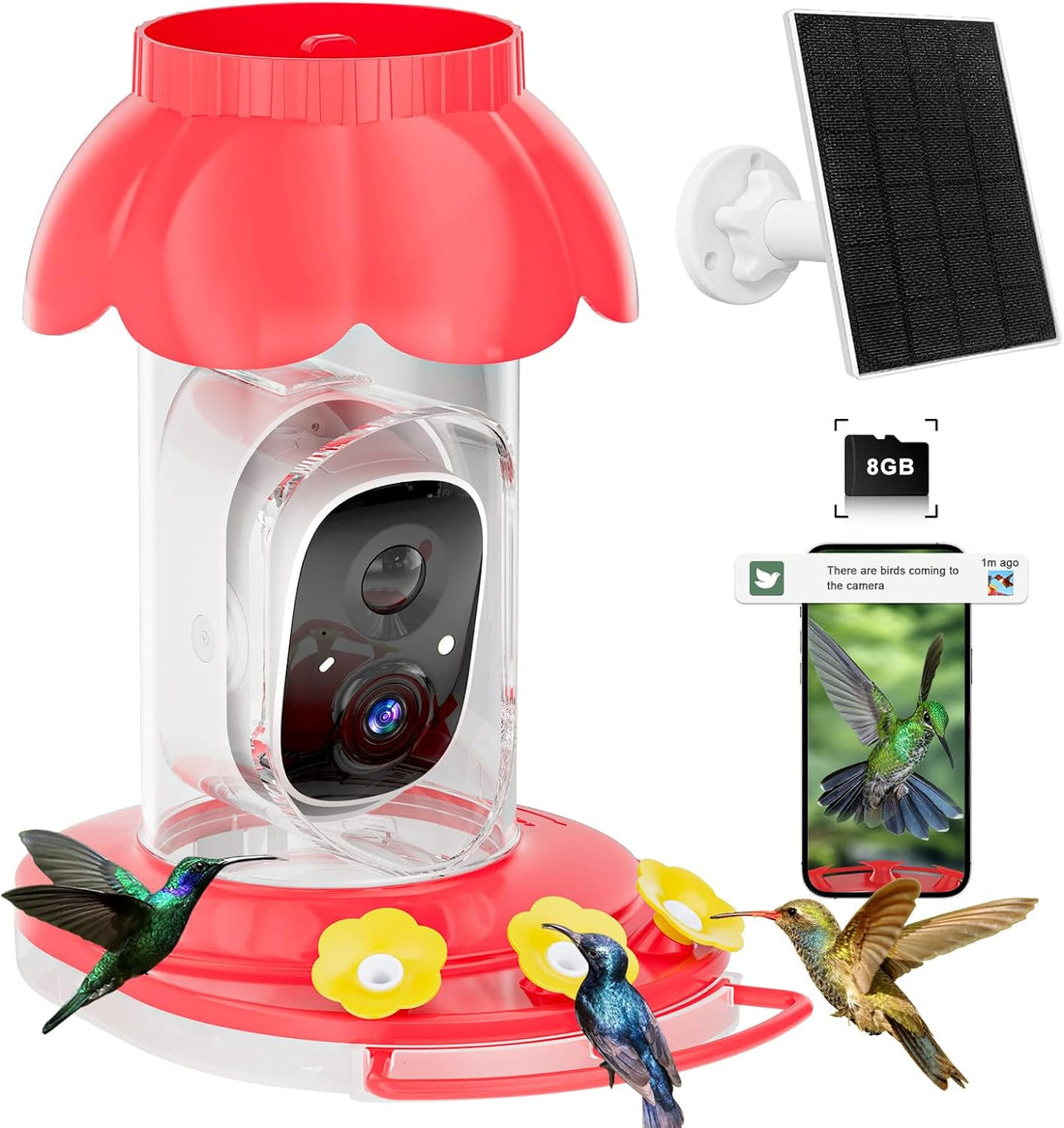 Hummingbird Feeder with Camera,2K FHD Live View & Auto Capture Bird