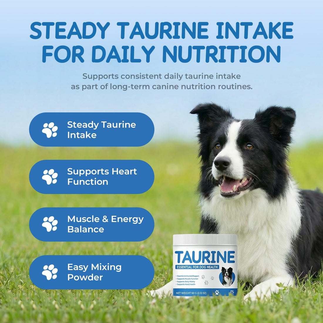 Homibabis Taurine Powder Supplement for Dogs