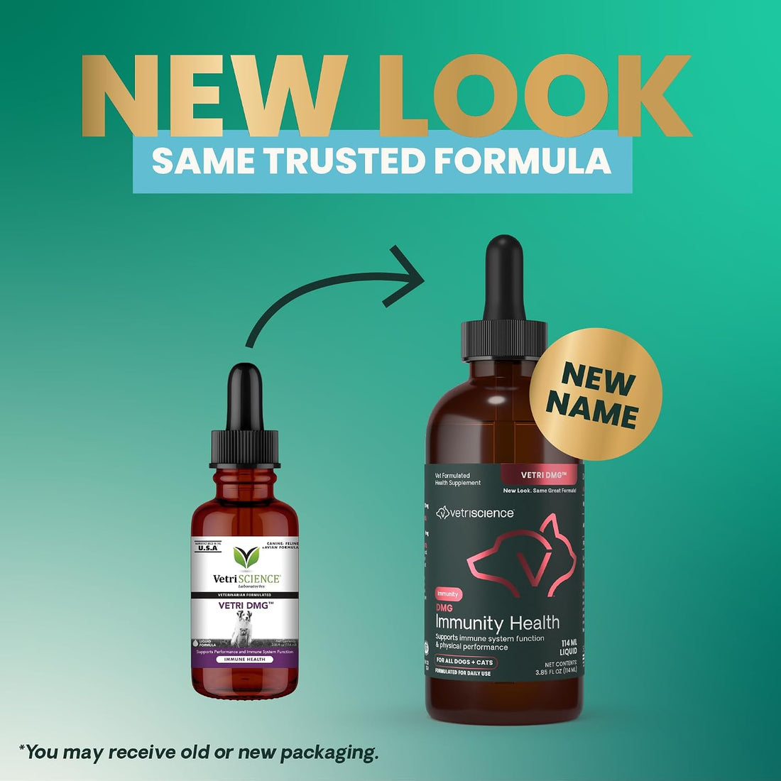 VetriScience DMG Immunity Health Easy-Dose Liquid for Dogs and Cats