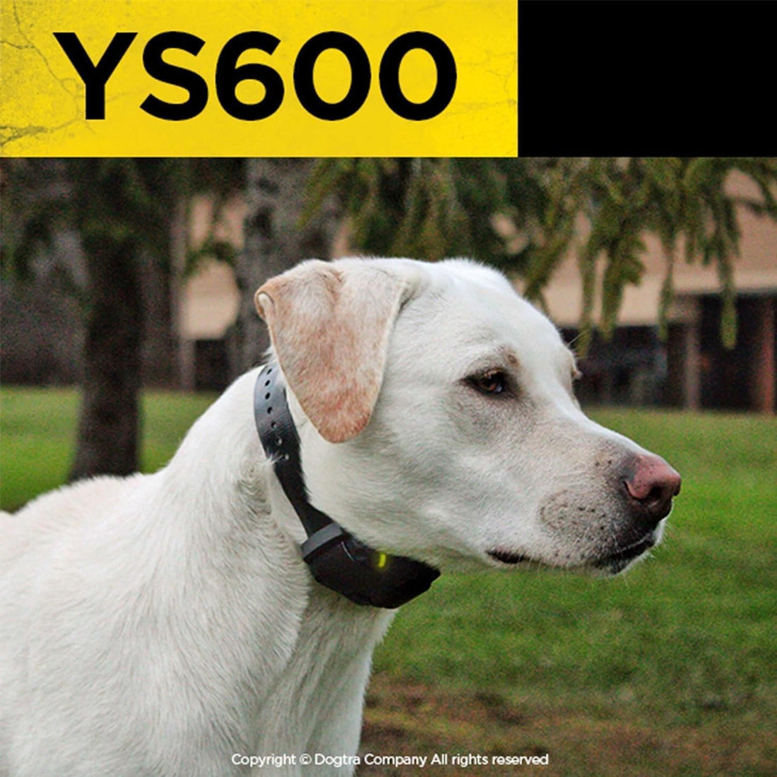 Dogtra YS600 No Bark Collar for Large Dogs 35 lbs and Up
