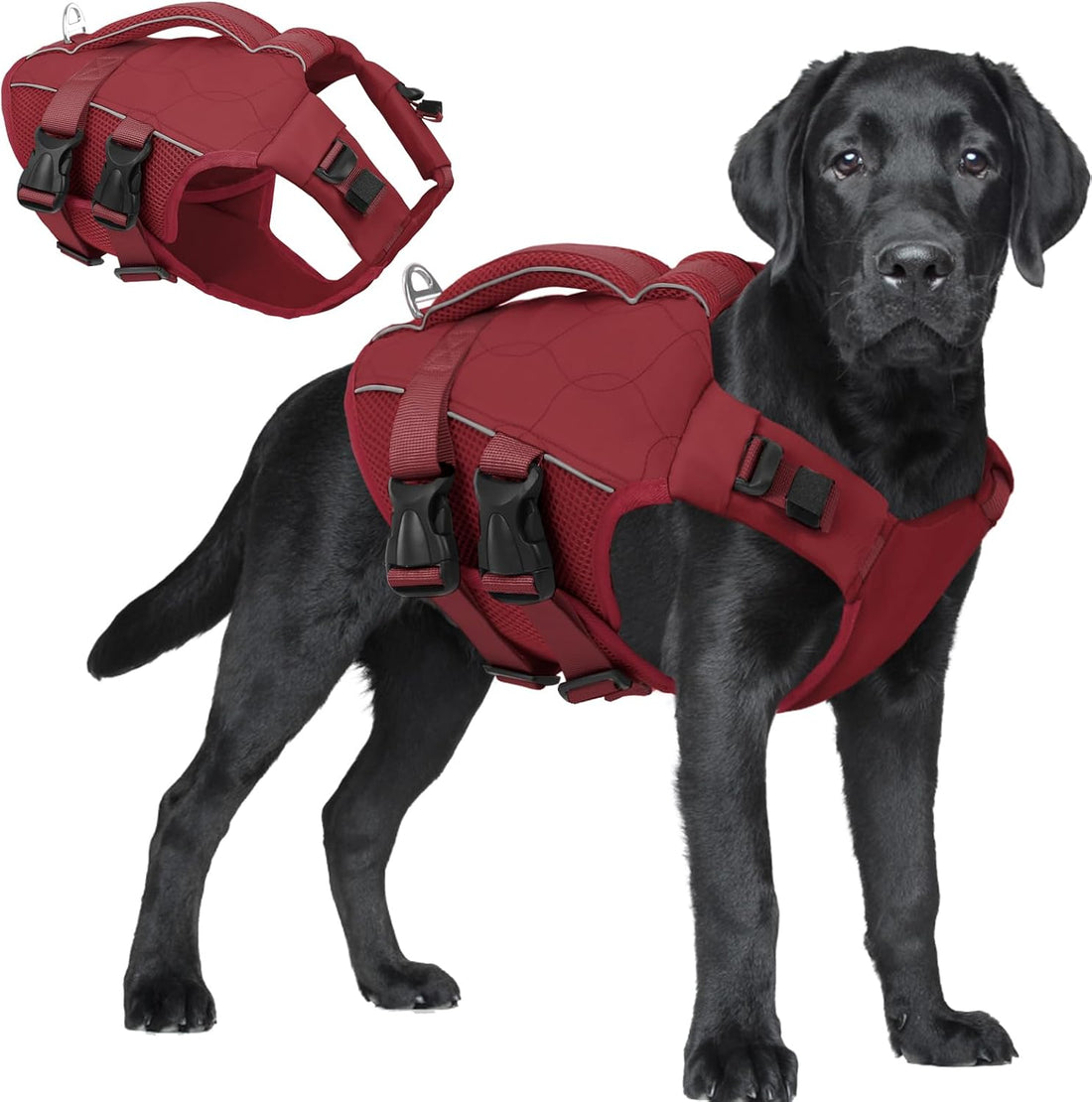 ASENKU Dog Life Jacket, High Floatation Dog Swimming Vest with Rescue