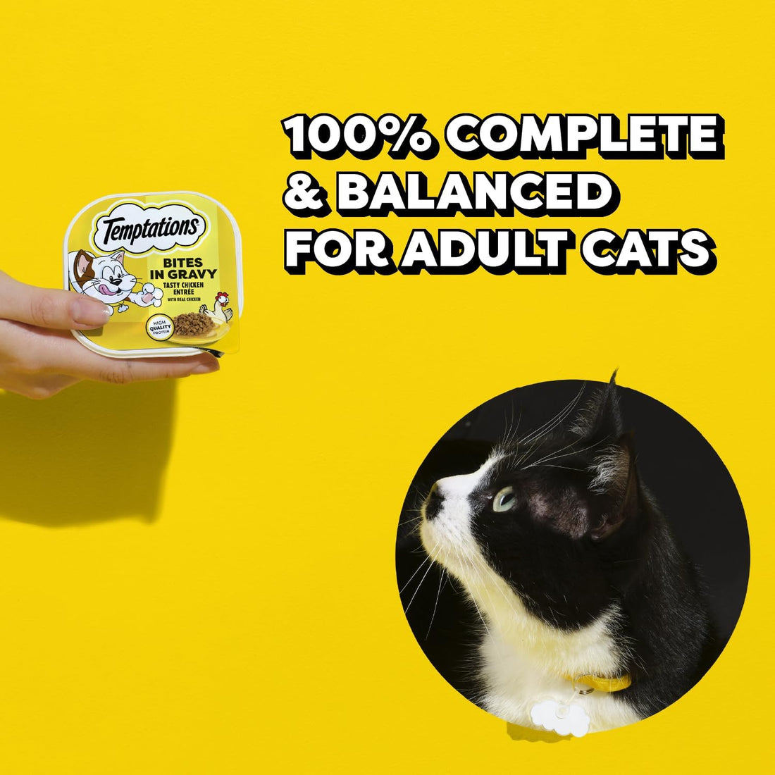 Temptations Bites in Gravy Wet Cat Food, Variety Pack, 3.5 oz