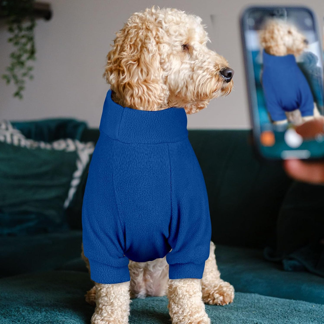 3 Pack Dog Sweaters for Large Dogs
