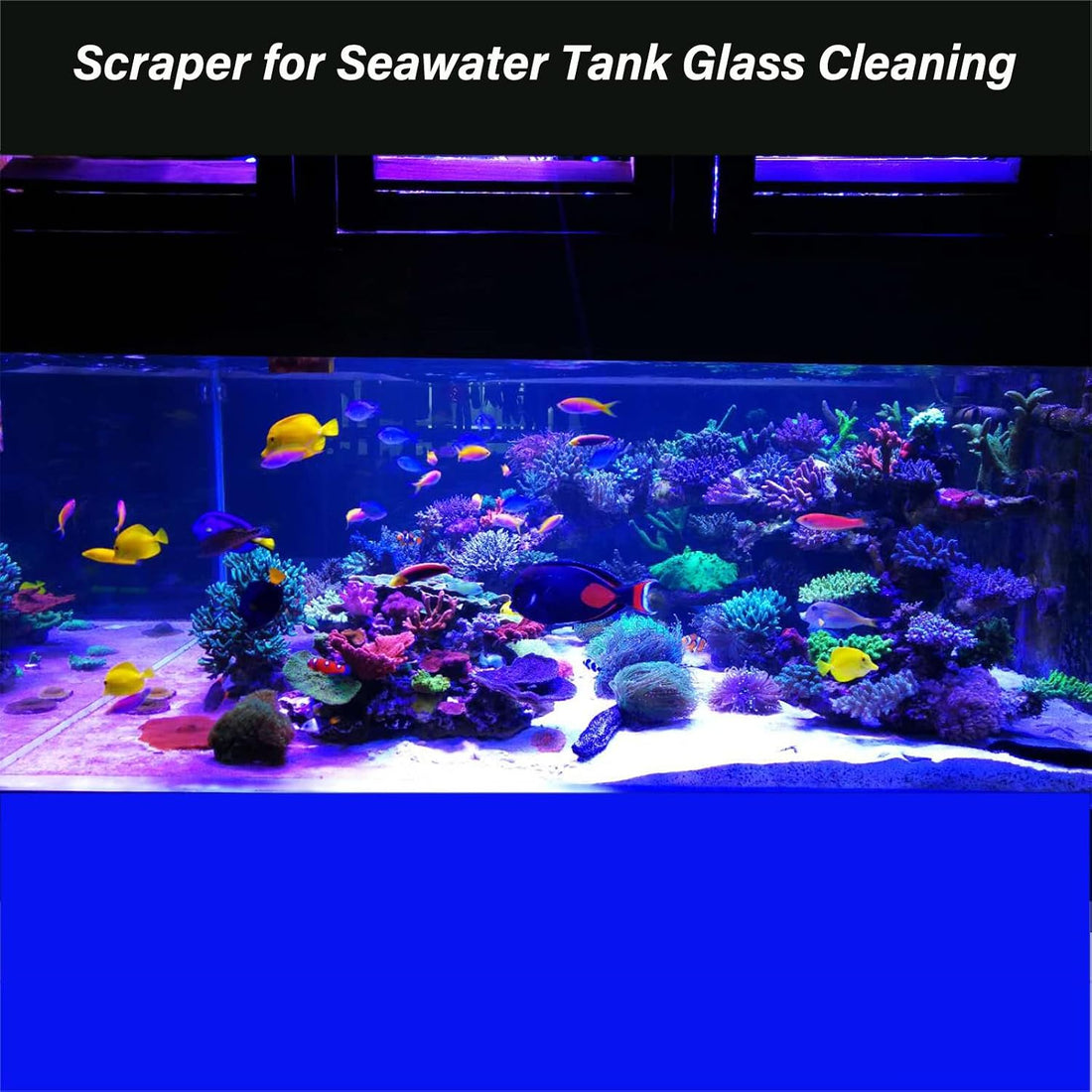 Vimvins Algae Scraper for Glass Aquarium,Aquarium Razor Scraper
