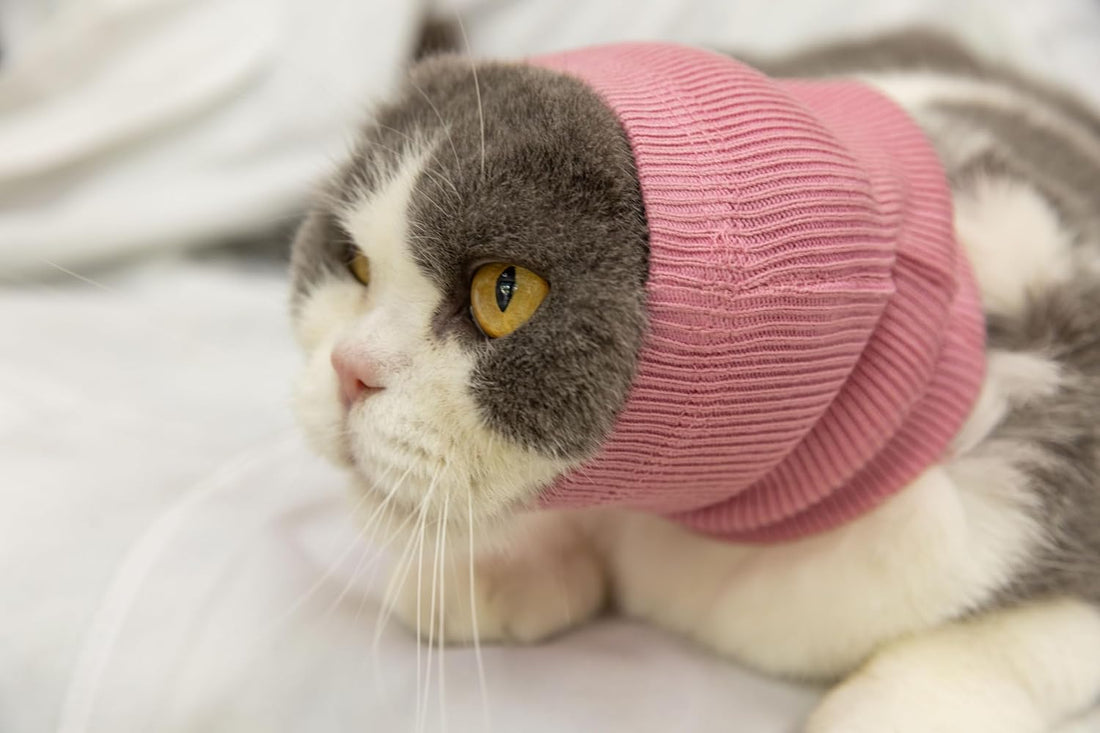 Cat Ear Protector No Scratch Wound Care Pink S