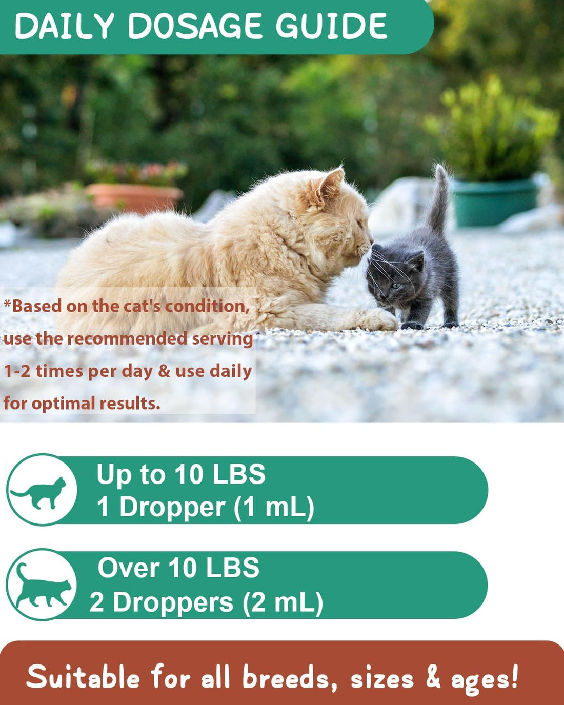 Hairball Treatment for Cats - Cat Hairball Remedy