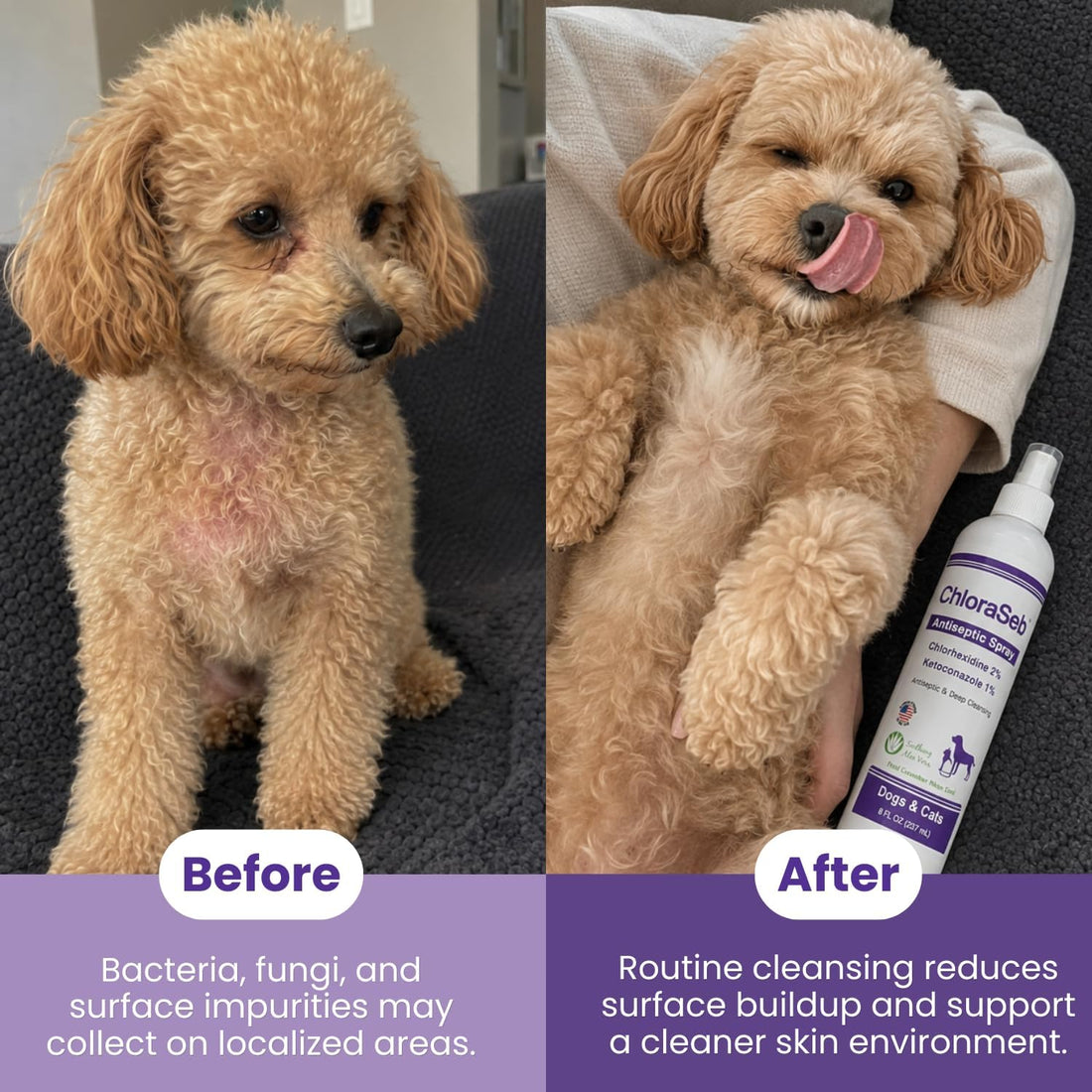 Skin & Coat Care Spray for Dogs and Cats