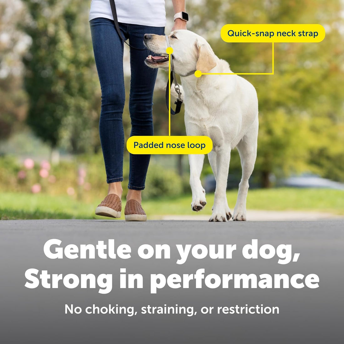 PetSafe Gentle Leader No Pull Dog Headcollar