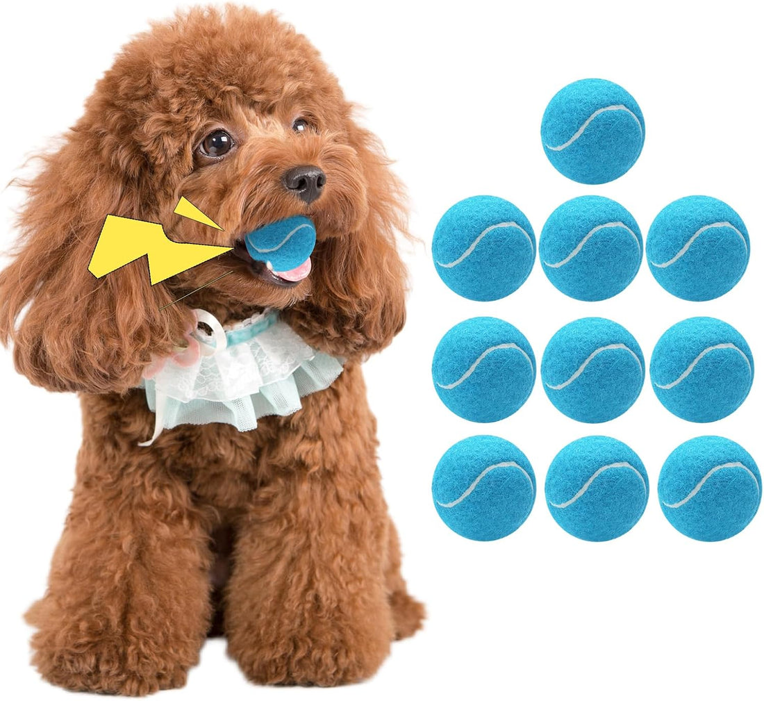 Magicorange 10 Pack Squeaky Mini Tennis Balls, 1.5 inch Small Dog Ball