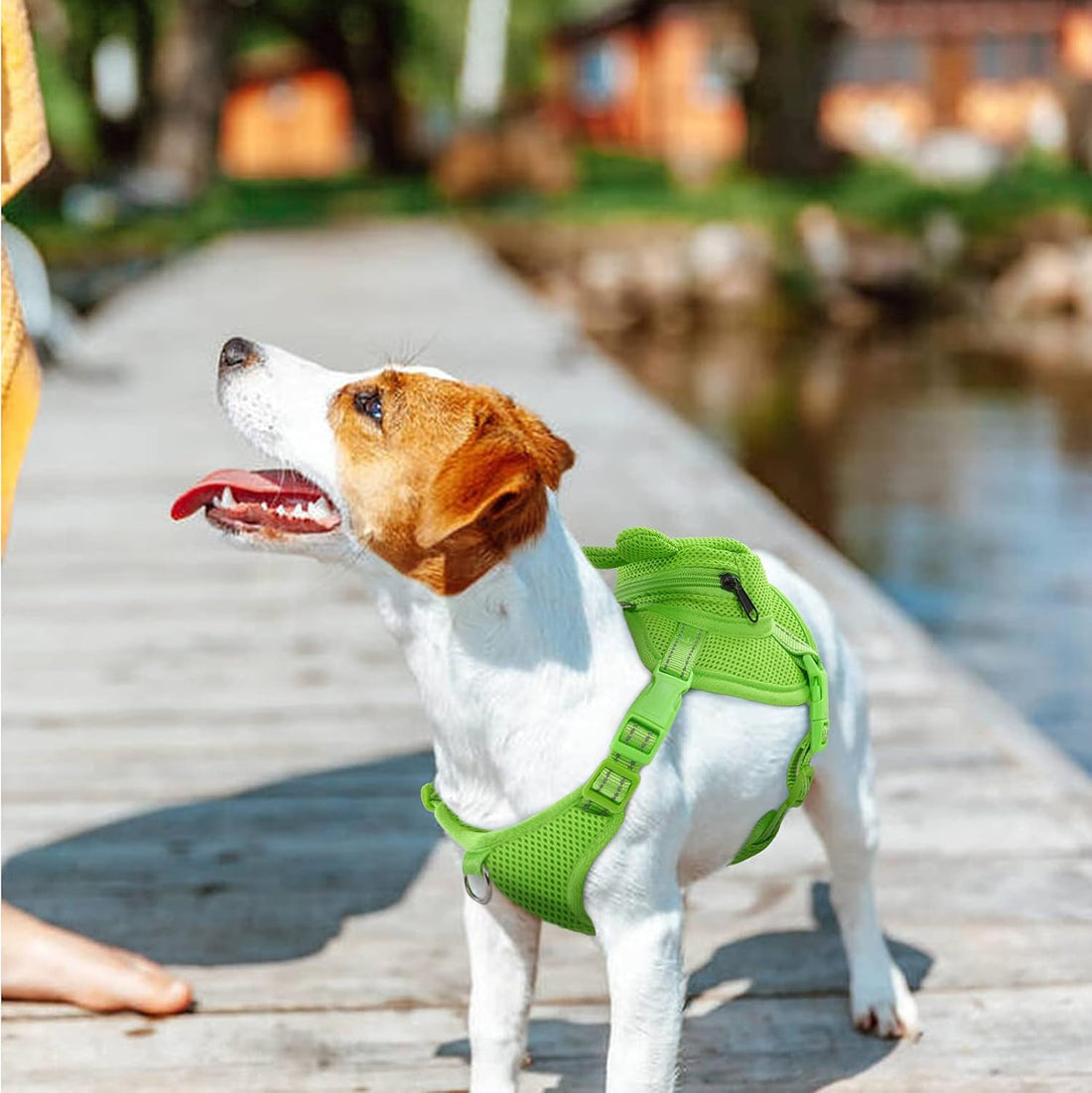 IDOMIK Frog Dog Backpack Harness