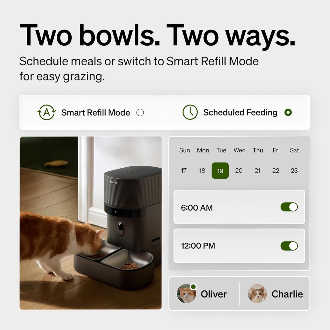 PETLIBRO Automatic Cat Feeder for 2 Cats