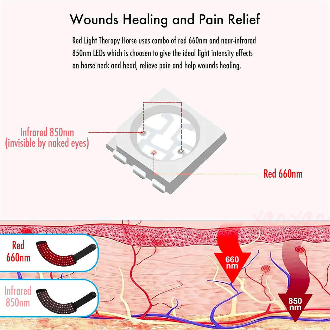 Red Light Therapy for Horses Hoof