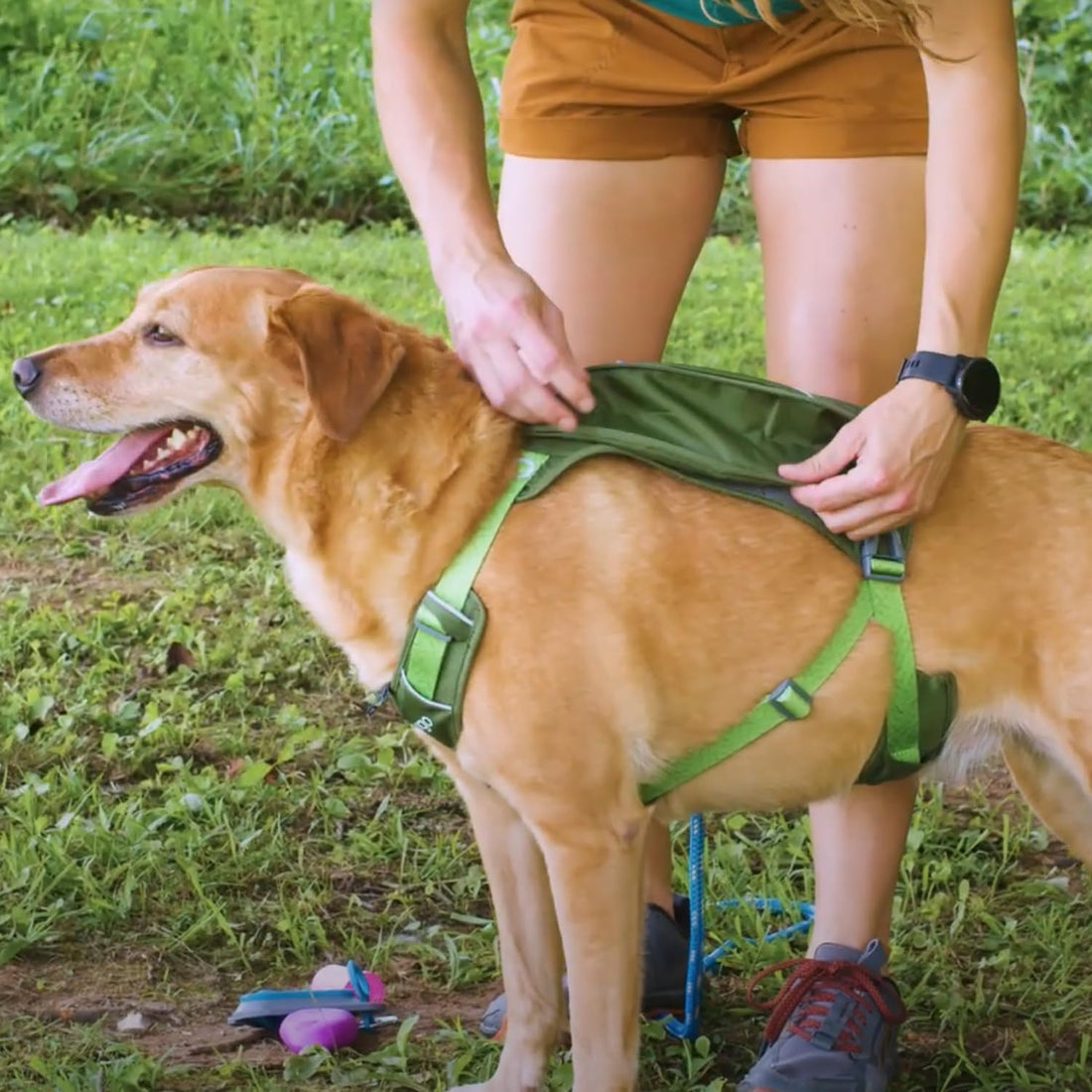 Kurgo Cascade Hiking Harness Backpack for Dogs