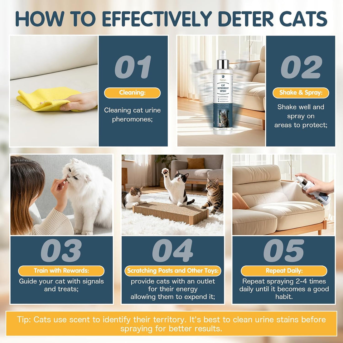 Cat Deterrent Spray for Anti Cat Scratch 150ML