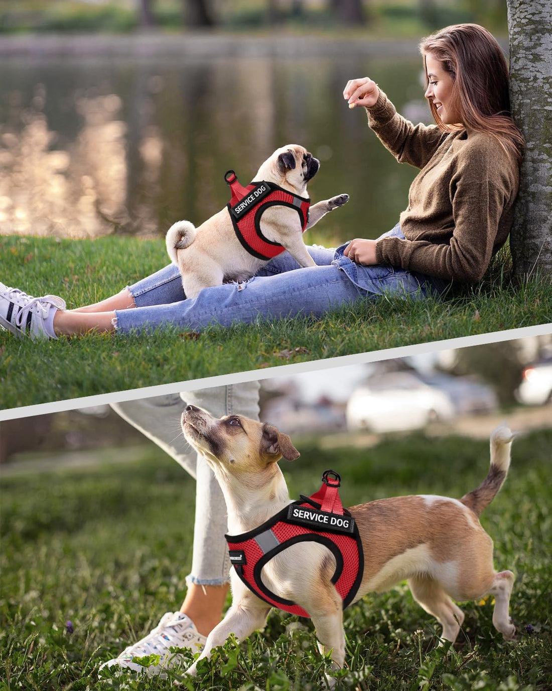 FAYOGOO Service Dog Vest for Small Dogs