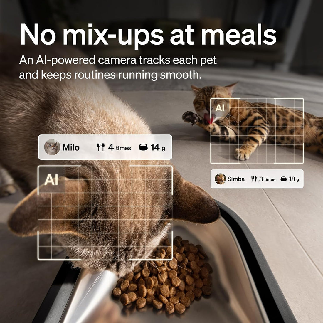 PETLIBRO Automatic Cat Feeder for 2 Cats
