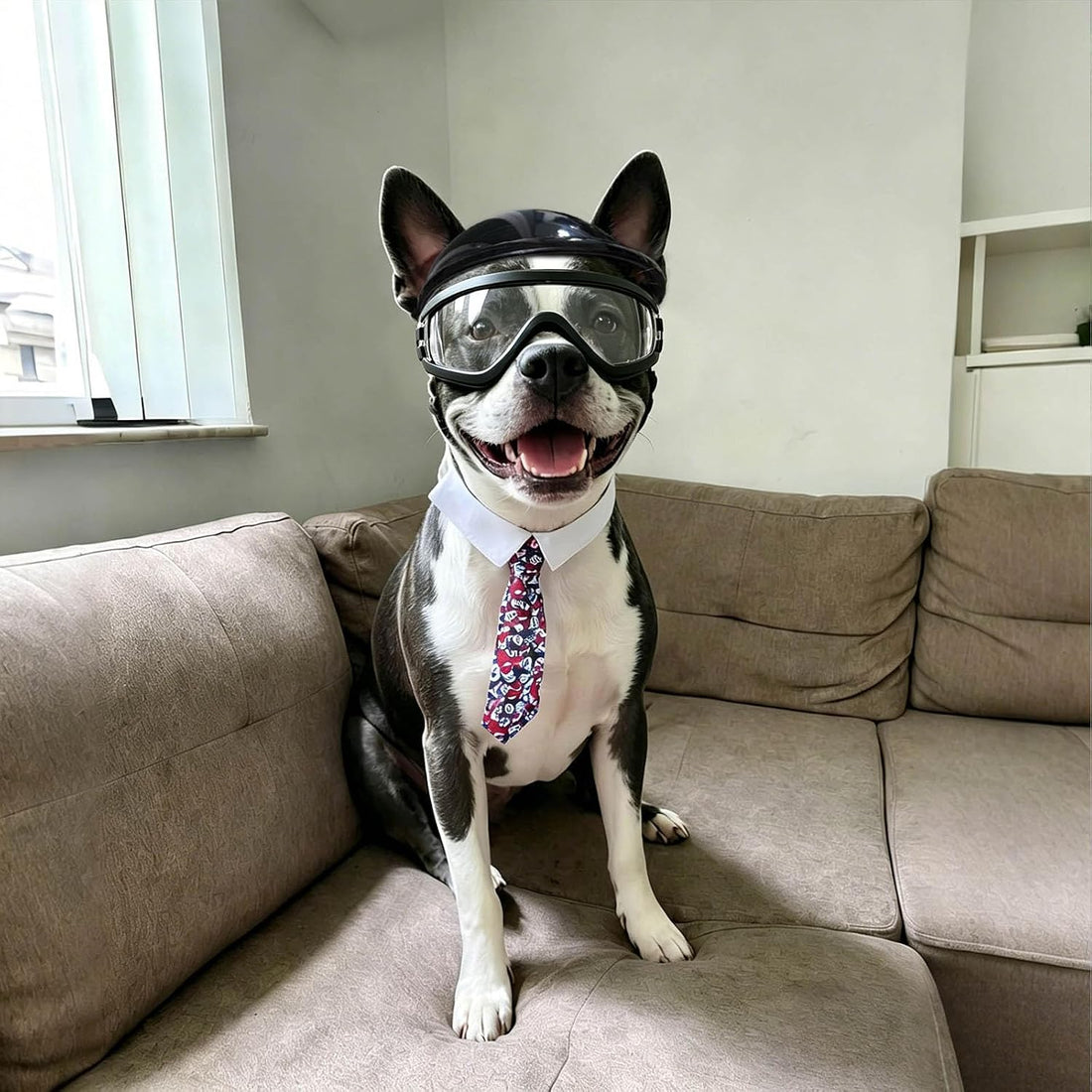Dog Goggles and Pet Helmet Set