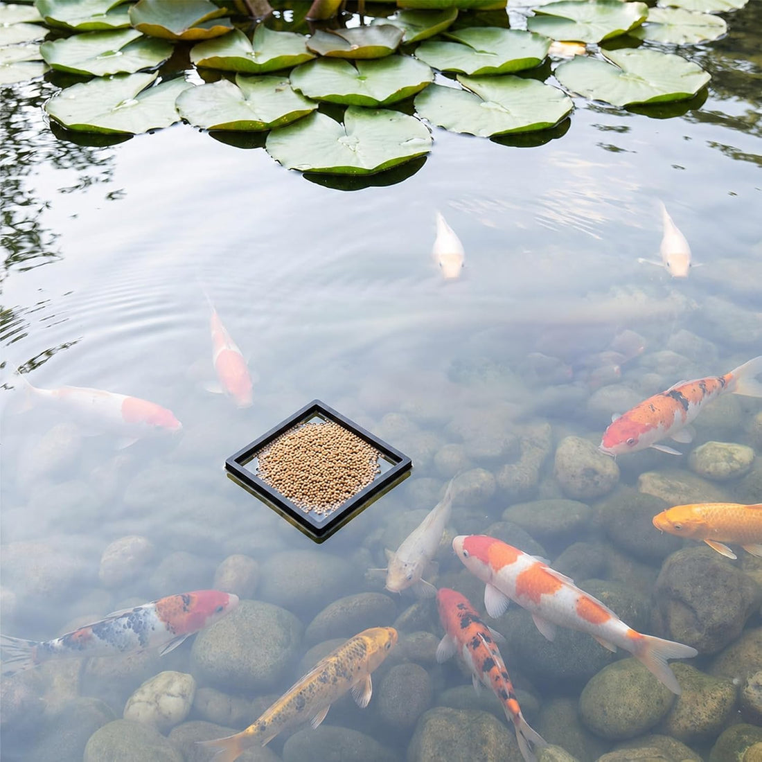 10 PCS Aquarium Floating Plant Barrier