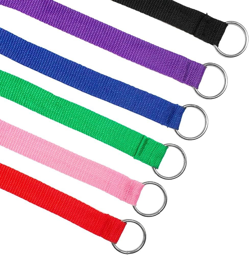 Downtown Pet Supply Slip Lead Dog Leash 6 Pack, 4' x 1/2"