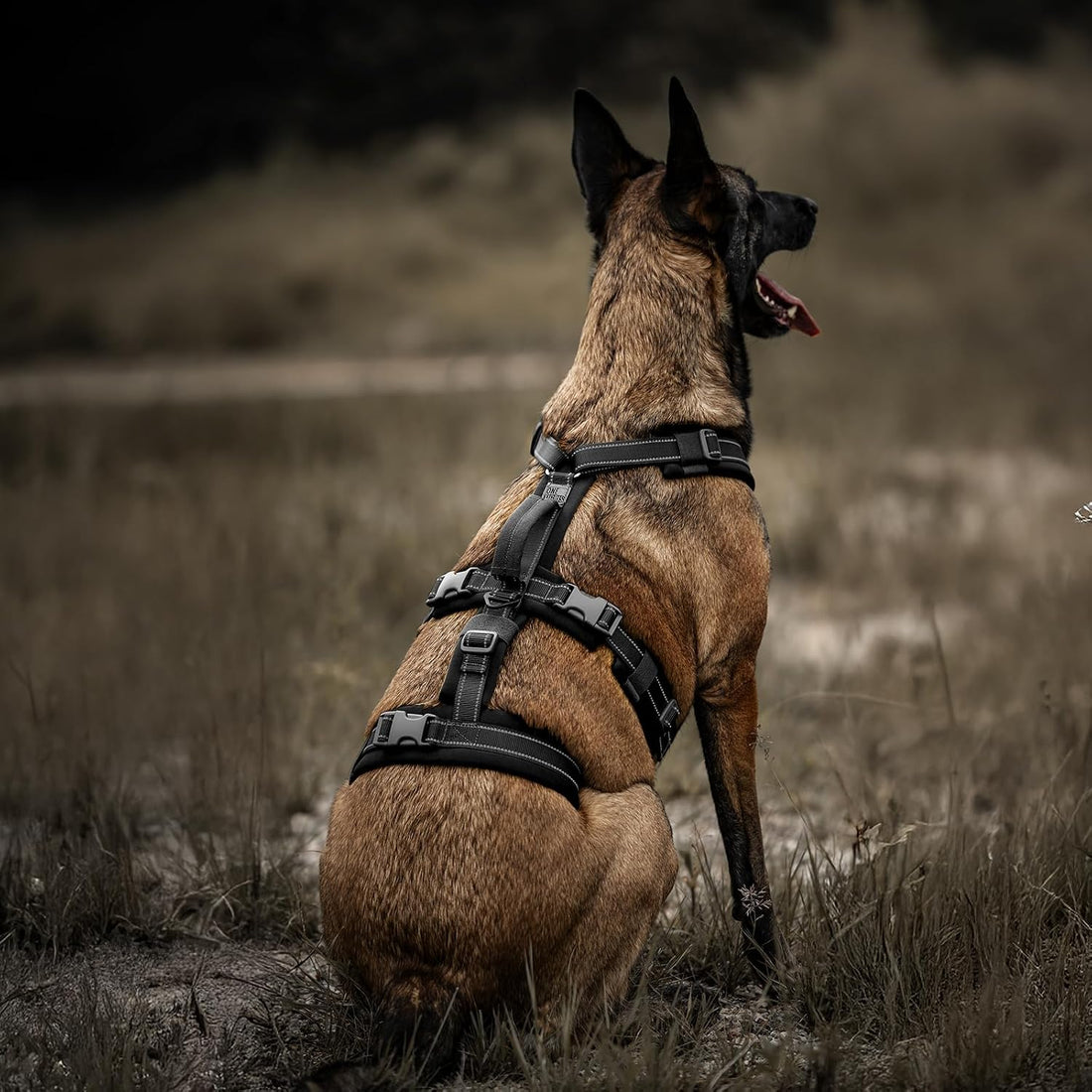 OneTigris Dog Harness No Pull Adjustable Tactical Harness with Soft