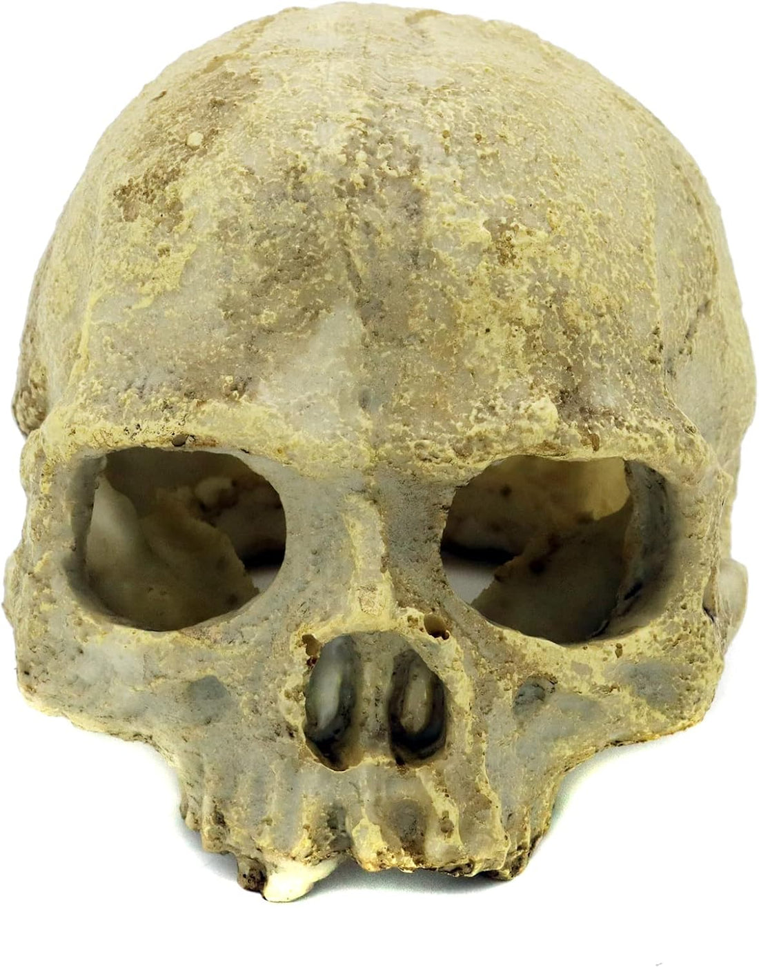 JIHAQUA Aquarium Resin Skull Ornament Snake Hide Decor, Habitat