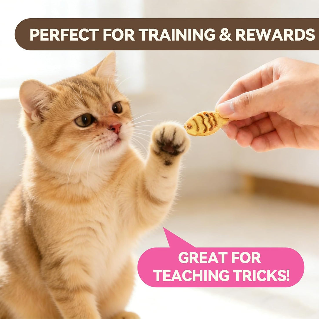 Puddonio Catnip Cat Treats, Chicken & Salmon Flavor Crunchy Cat