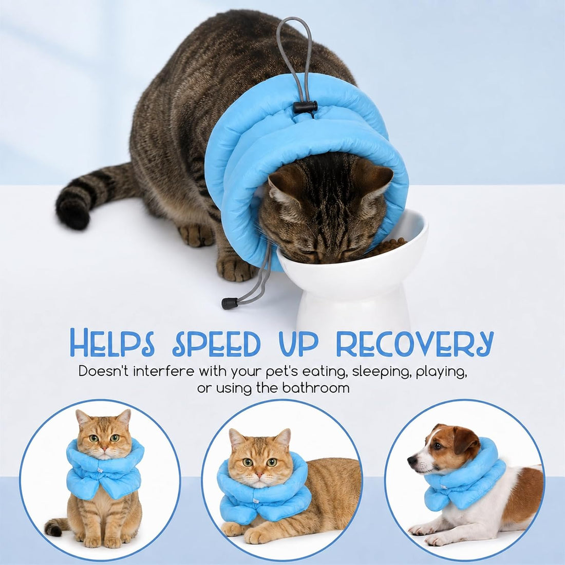 Adjustable Soft Recovery Collar for Cats