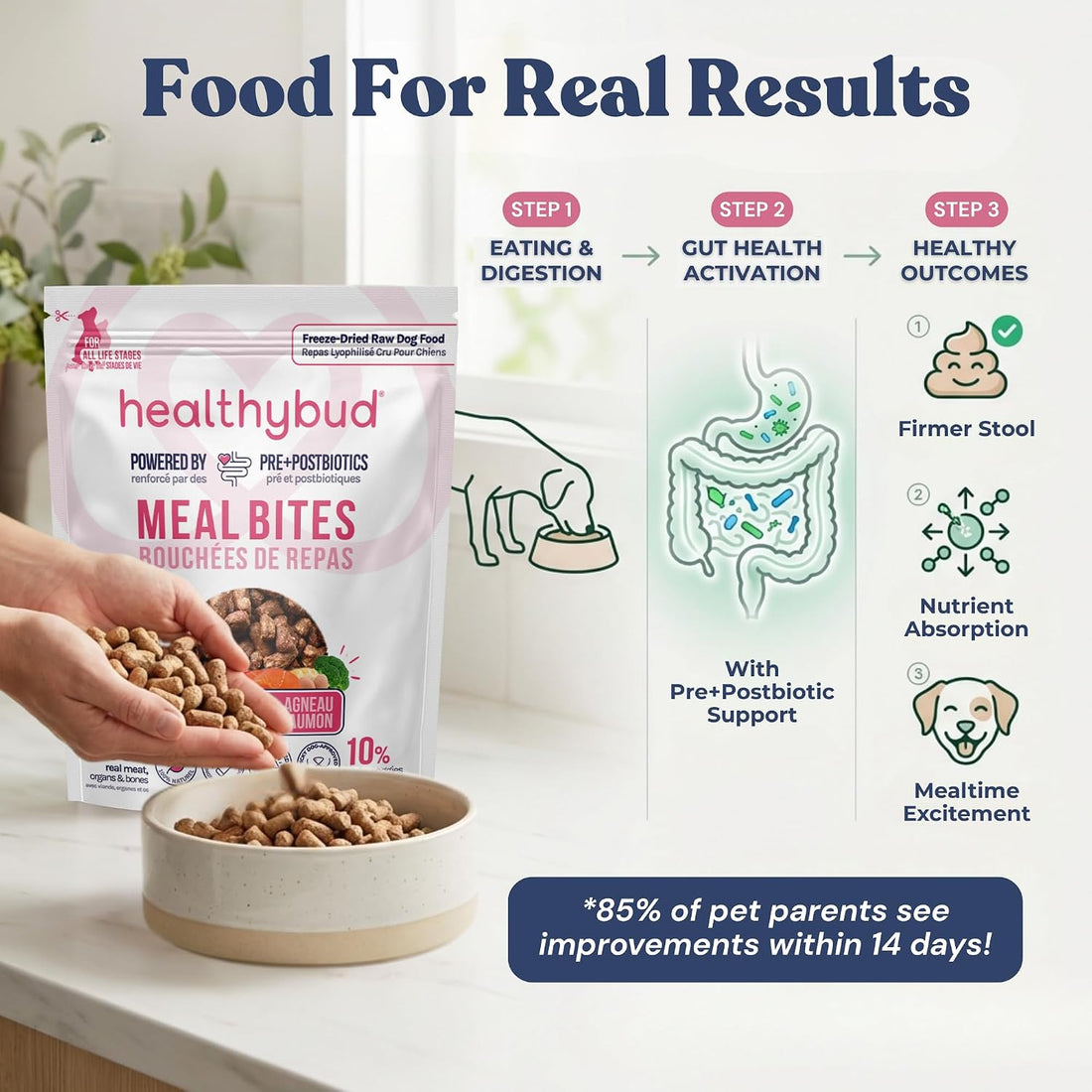 healthybud Raw Dog Food Freeze Dried Bites
