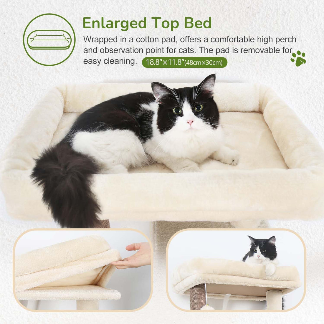 Globlazer Cat Tree Tower with Scratching Post for Indoor Cats, F53