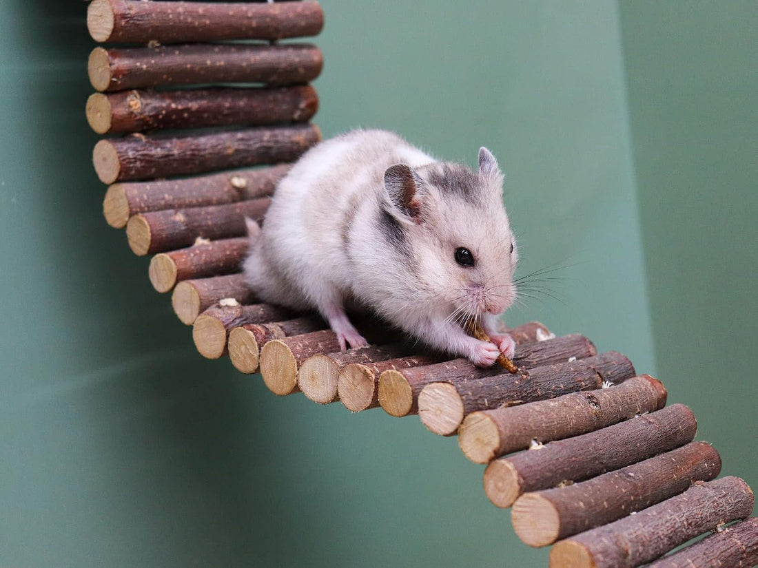 Rat Ladder Bridge, Wooden Hamster Climbing Ladder Toy