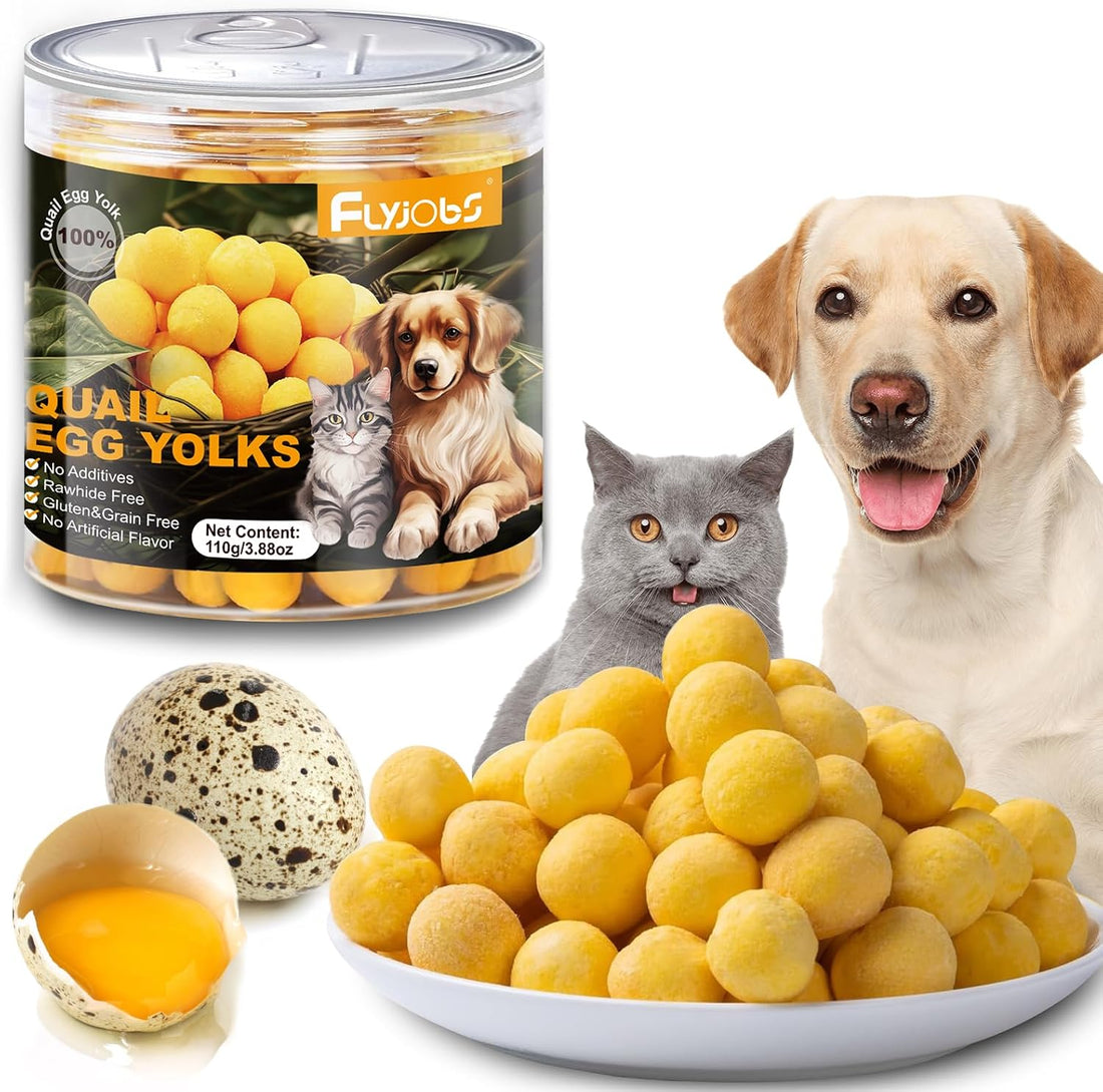 Dehydrated Quail Egg Yolk Snacks for Cats and Dogs Training