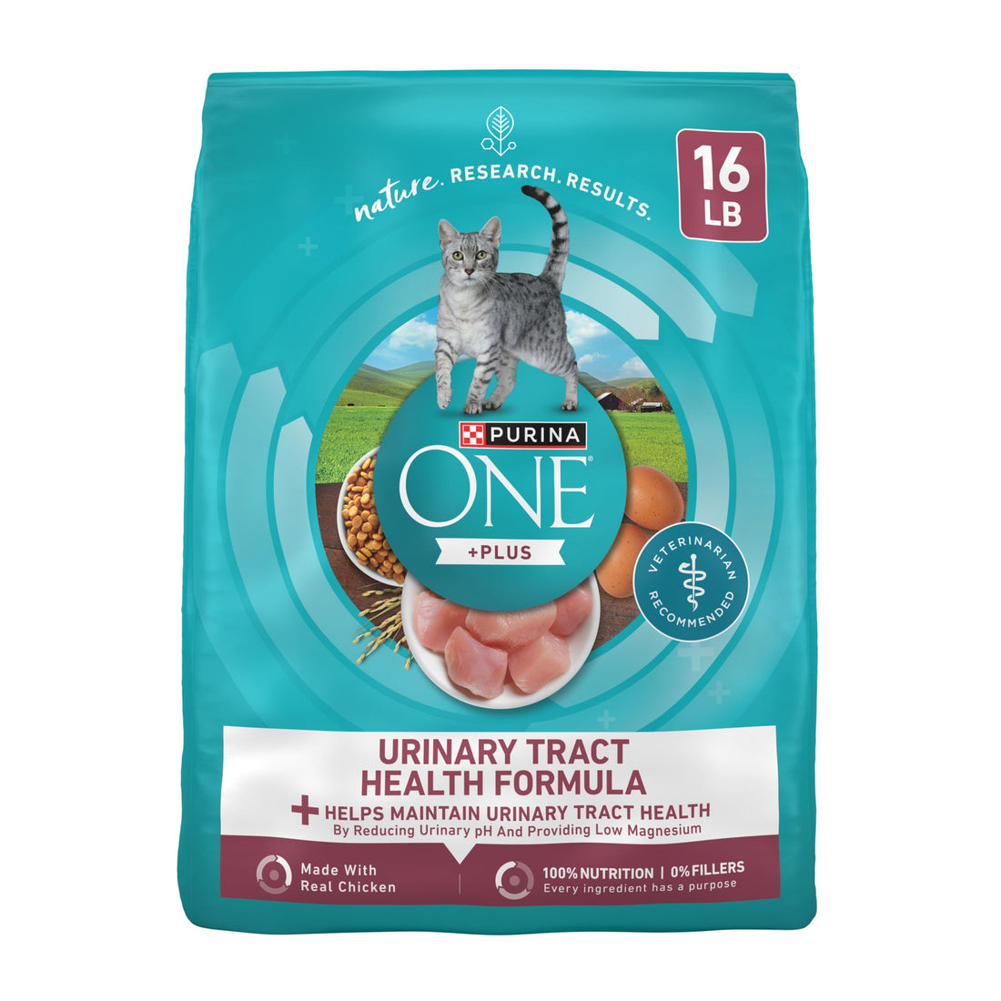 Purina ONE High Protein Dry Cat Food