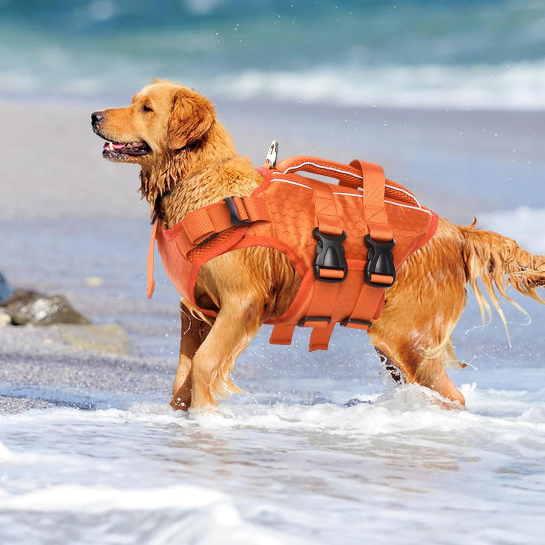 Kuoser Dog Life Jacket High Flotation
