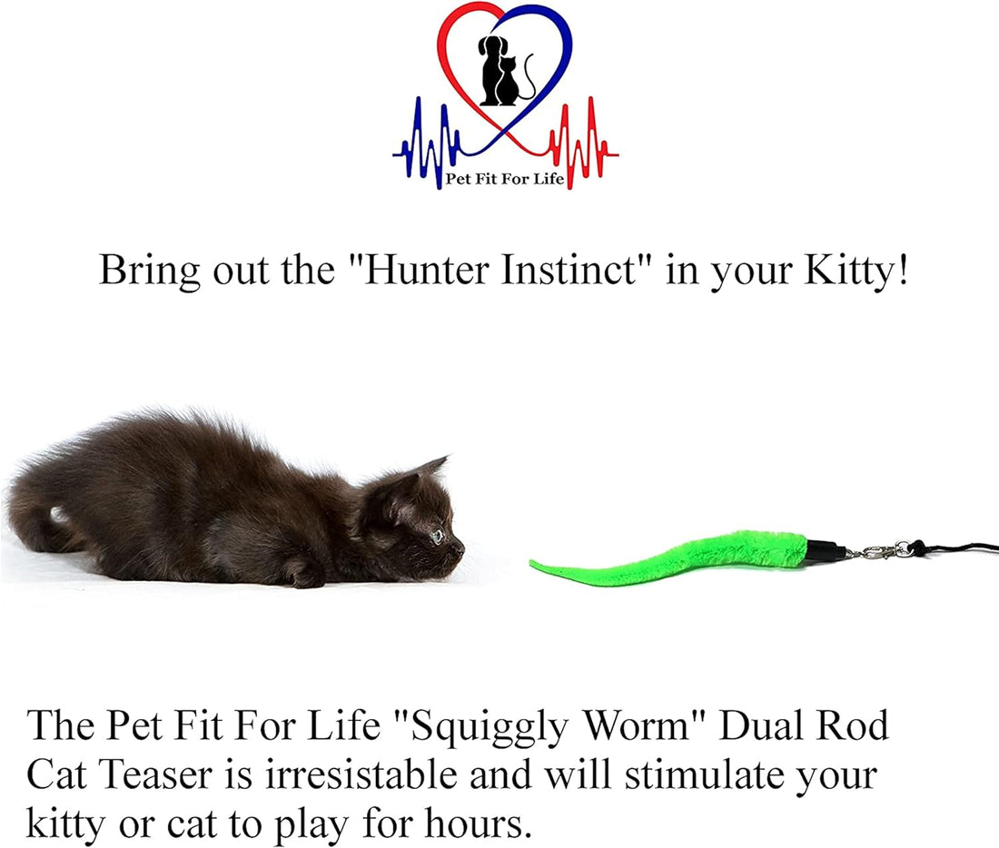 Pet Fit For Life Cat Wand Toy, 5-Piece Worm Teaser & Exerciser