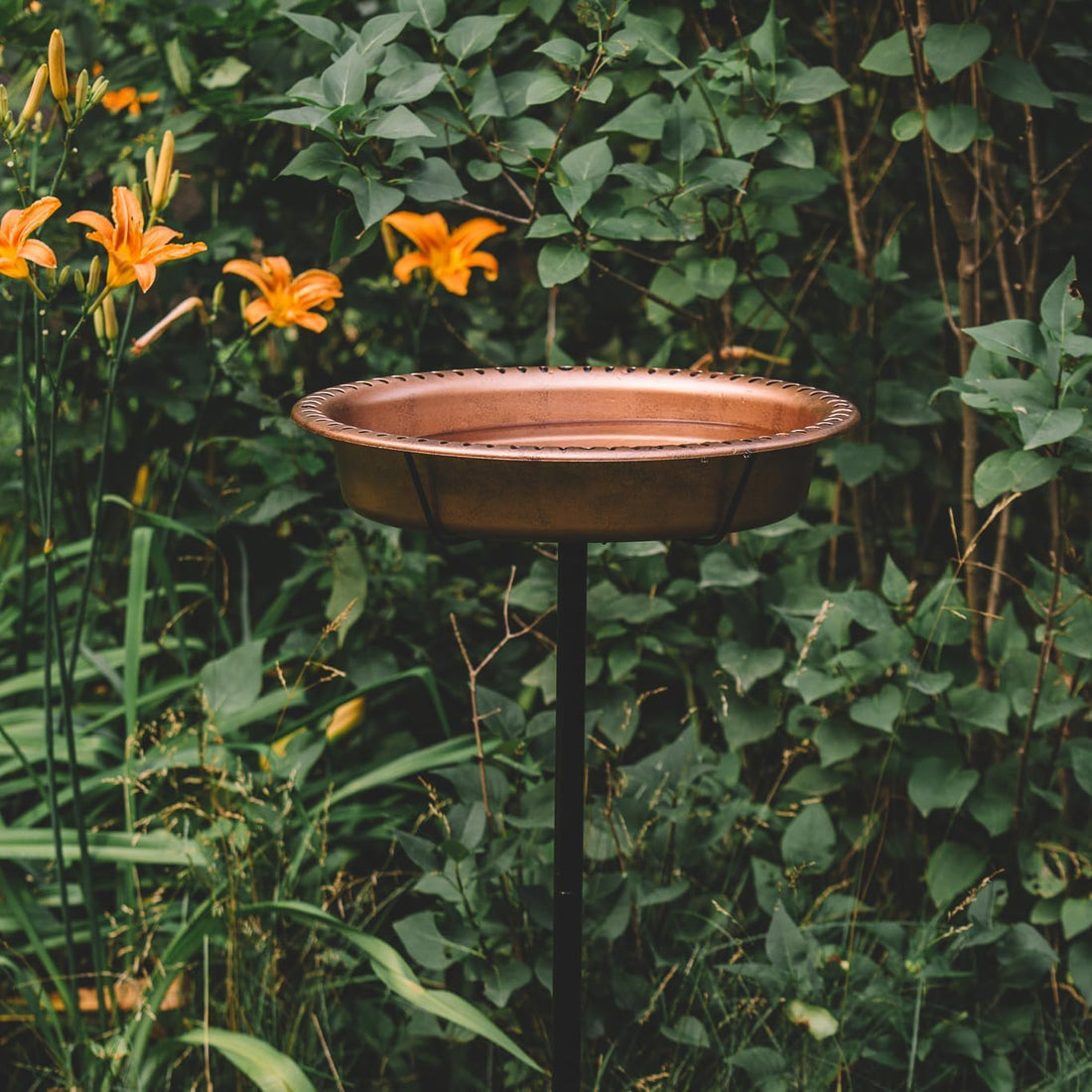 Backyard Expressions Bird Baths for Outdoors