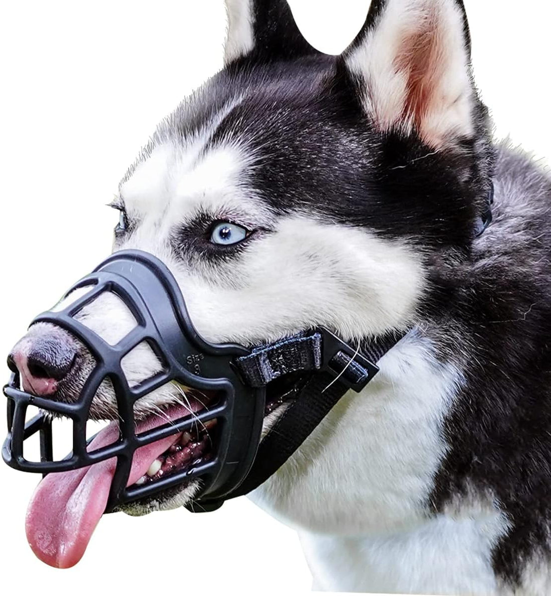 BARKLESS Dog Muzzle, Basket Muzzle Anti Biting Chewing for Medium