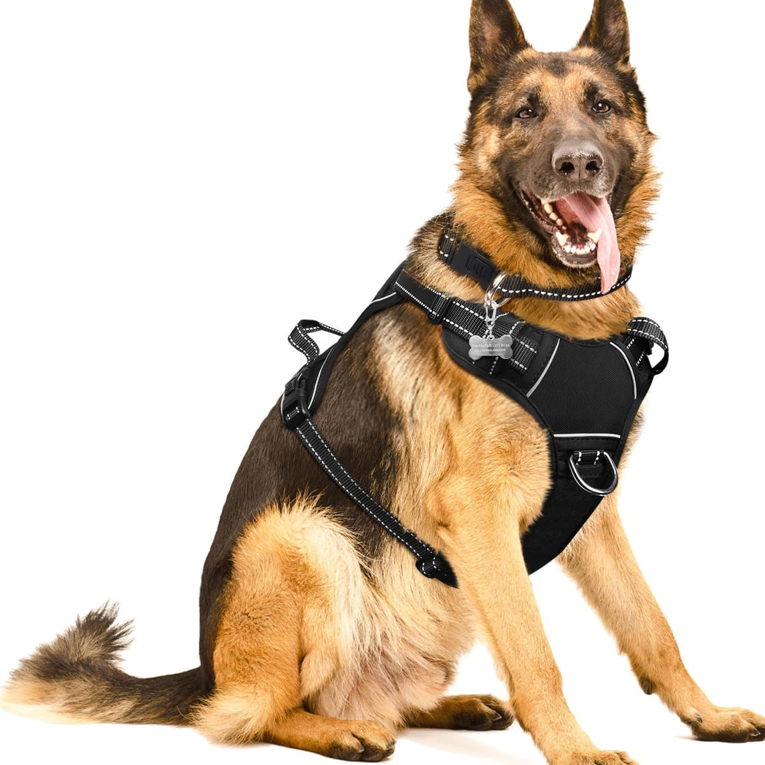 WINSEE Dog/Pet Harnesses No Pull with Dog Collar