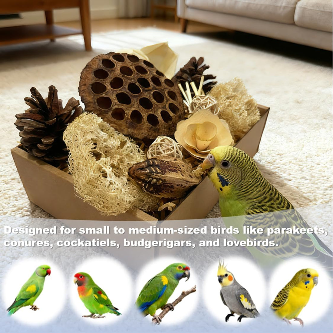 Bird Pet Toys - Lotus Pod Foraging Box, 10 Natural Ingredients