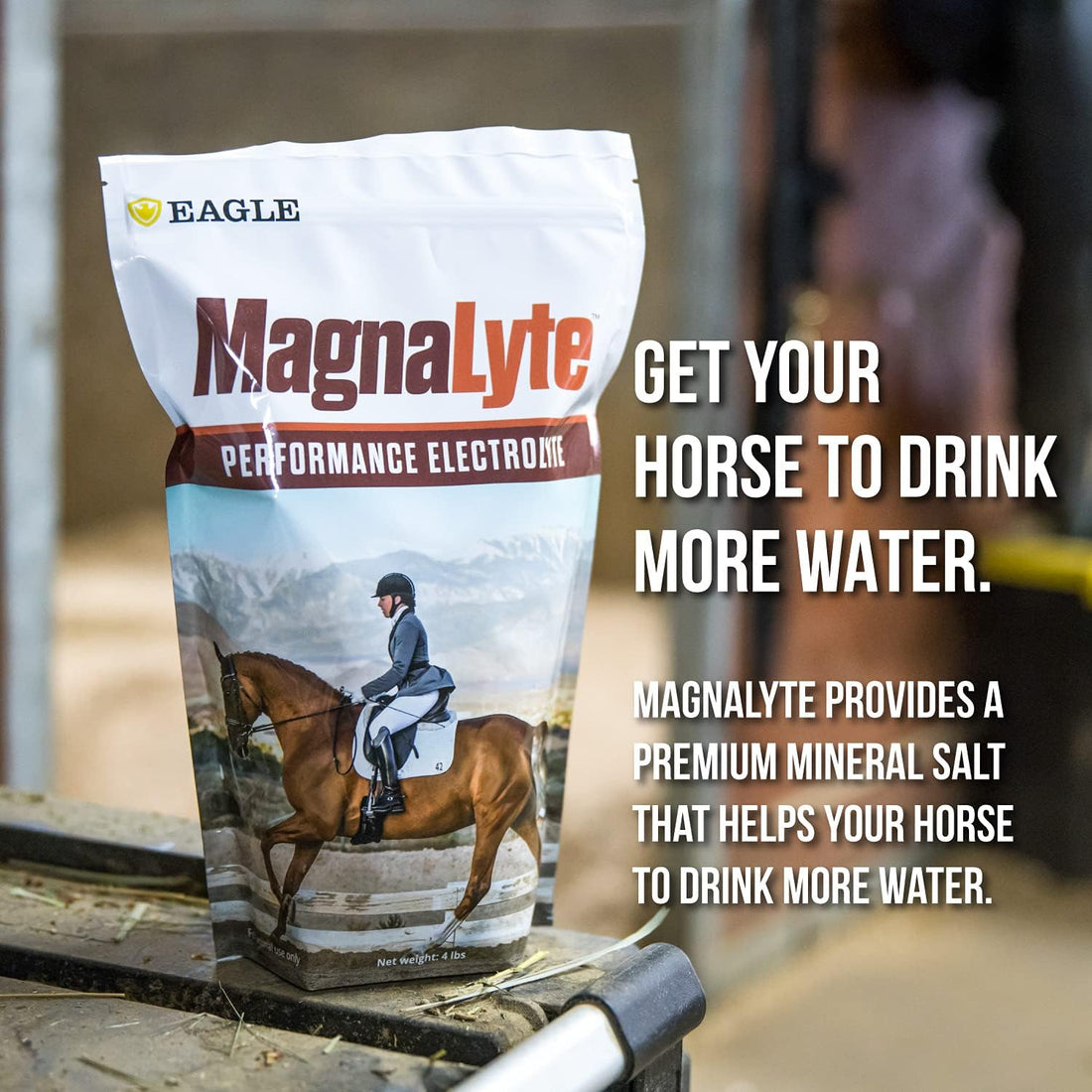 MagnaLyte Loose Salt and Electrolytes for Horses by Eagle Equine